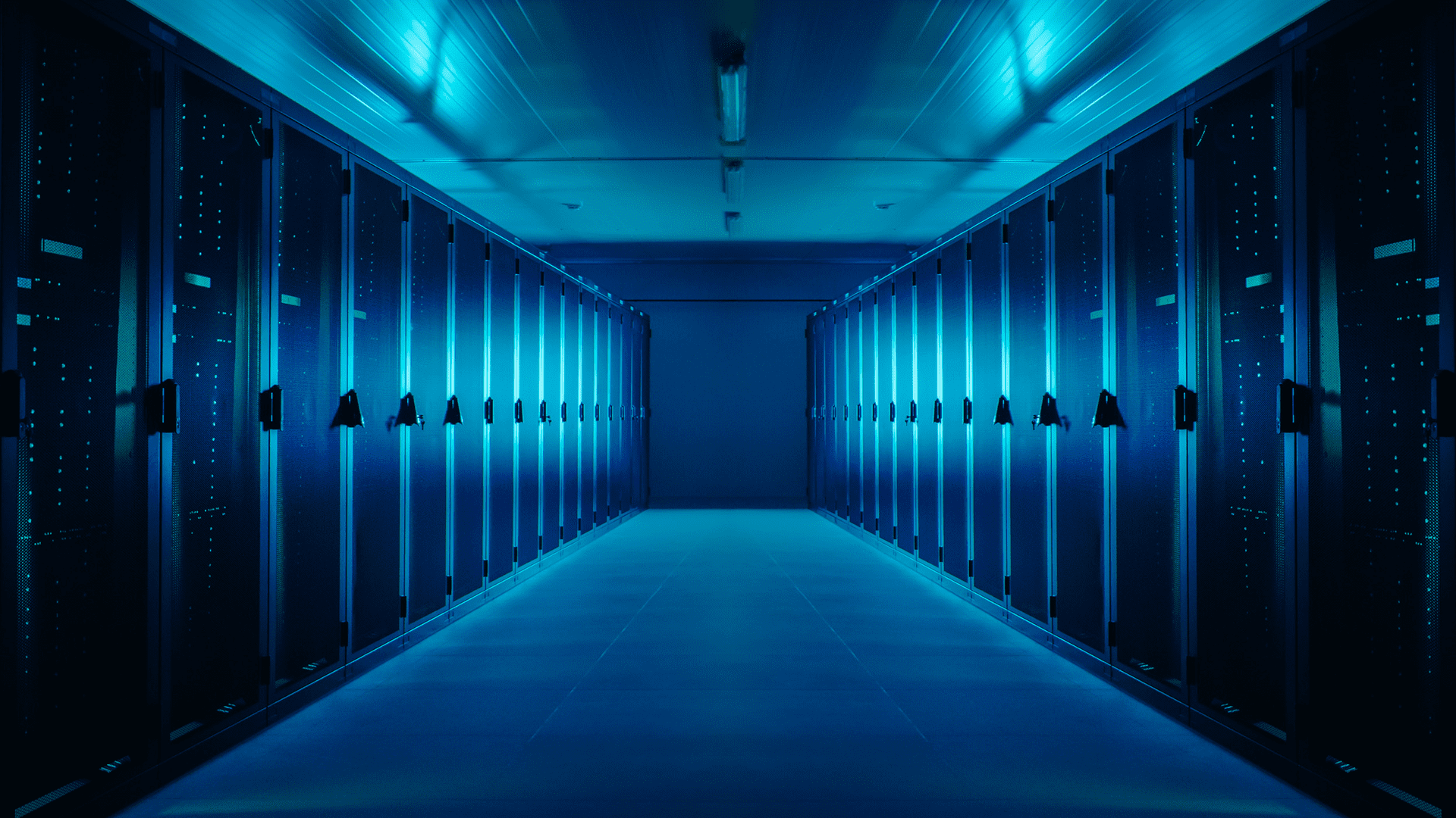 Managed Services